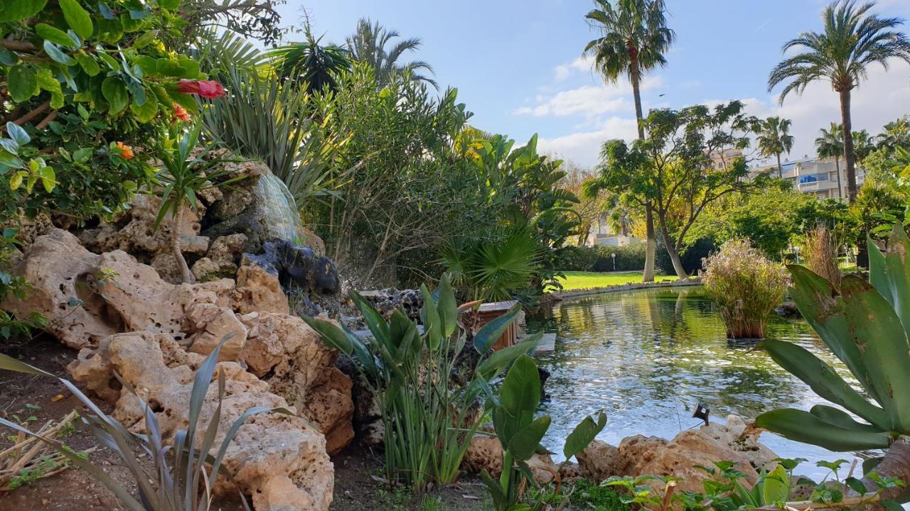 Golf Coast Los Alamos, Primera Linea De Playa توريمولينوس المظهر الخارجي الصورة